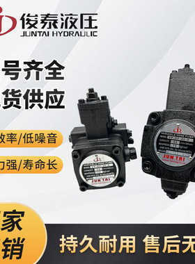 俊泰JUNTAI油泵VP-SF-15VP-SF-20液压 VP-SF30/40 变量液压叶片泵