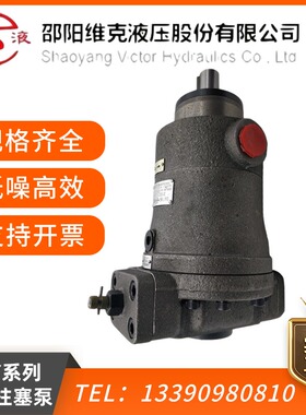 邵阳维克液压SY-10/25/32/40/63/80/100SCY14-1E/EL/B 轴向柱塞泵