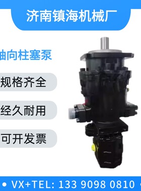 济南镇海机械厂 TDXB63M+CBG1F040/L 轴向柱塞泵TDXB50N 40 32 55
