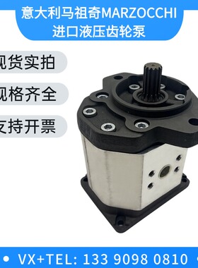 GHP2A-D-6/9/10/12/13/16/20/22/25/30/34/40/50-FG马祖奇齿轮泵