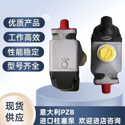 PZB Y60/84R 317008422W0 64意大利斜轴柱塞泵环卫钩臂车专用油泵