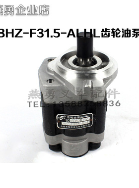 叉车配件 490液压齿轮油泵CBHZ-F31.5-ALHL供油泵 适用合力3吨