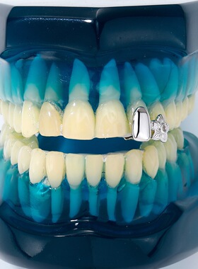 ICED饰品嘻哈teeth grillz说唱牙饰欧美镶钻石假牙套双颗五朵花