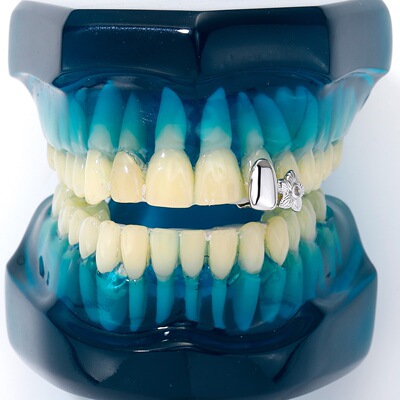 ICED饰品嘻哈teeth grillz说唱牙饰欧美镶钻石假牙套双颗五朵花