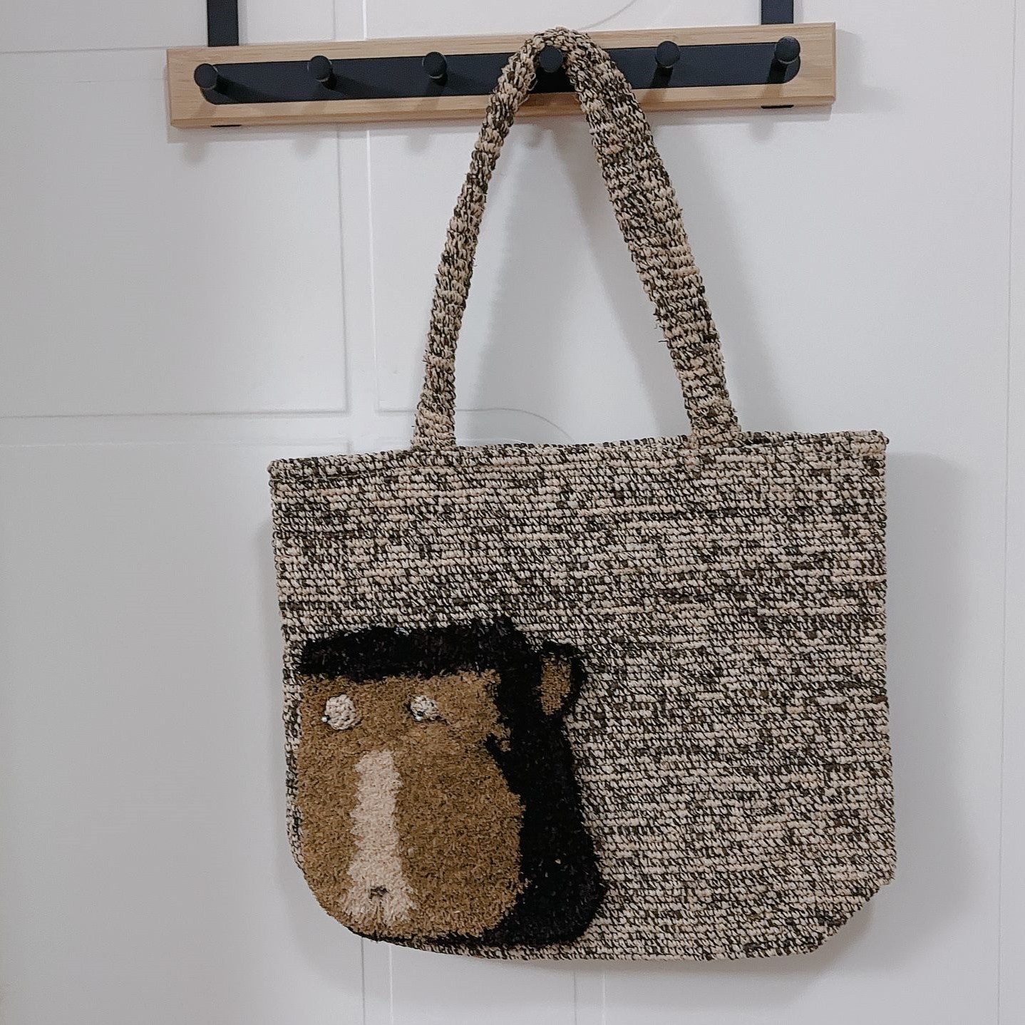 熊猫为什么叫食铁兽