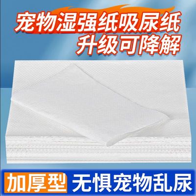 其他狗狗吸尿纸一次性
