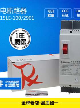 DZ15LE-100A3901/490漏电断路器三相四线220V保护器空气开关380V