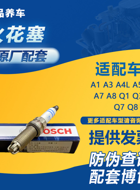 适用A1 A2 A3 A4L A5 A6L A7 A8 Q1 Q3 Q5 Q7 Q8 C7 B8 TT火花塞