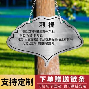不锈钢树牌挂牌定制植物绿植吊牌树木标识科普牌树名牌铭牌花草牌