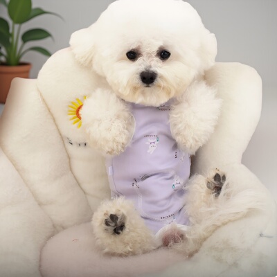 狗狗衣服纯棉春秋小型犬护肚衣