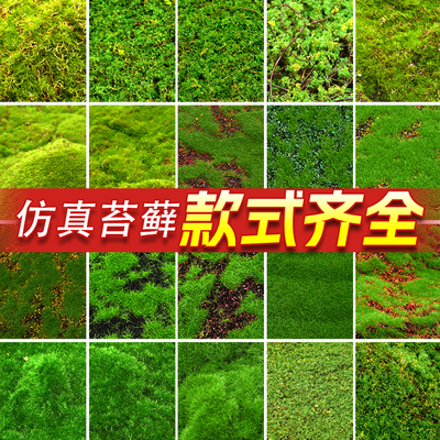 造景青苔植物墙室内装饰假草皮