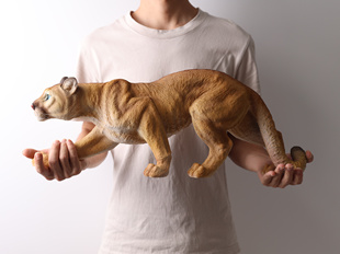 正版轻奢仿真美洲狮动物模型手办礼物品文创具年会摆件GK装饰潮玩