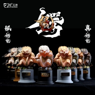 鳄龟系列 真鳄龟&拟鳄龟第一弹 原色大鳄变异大鳄白佛鳄黄化佛鳄