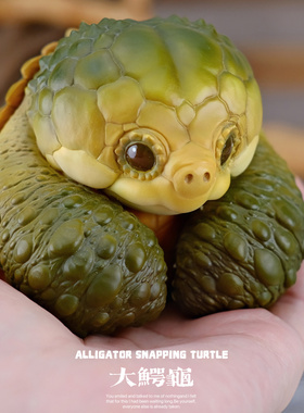 博物志原创｜2025吨吨动物园龟系列大鳄龟白化佛鳄龟潮玩手办模型