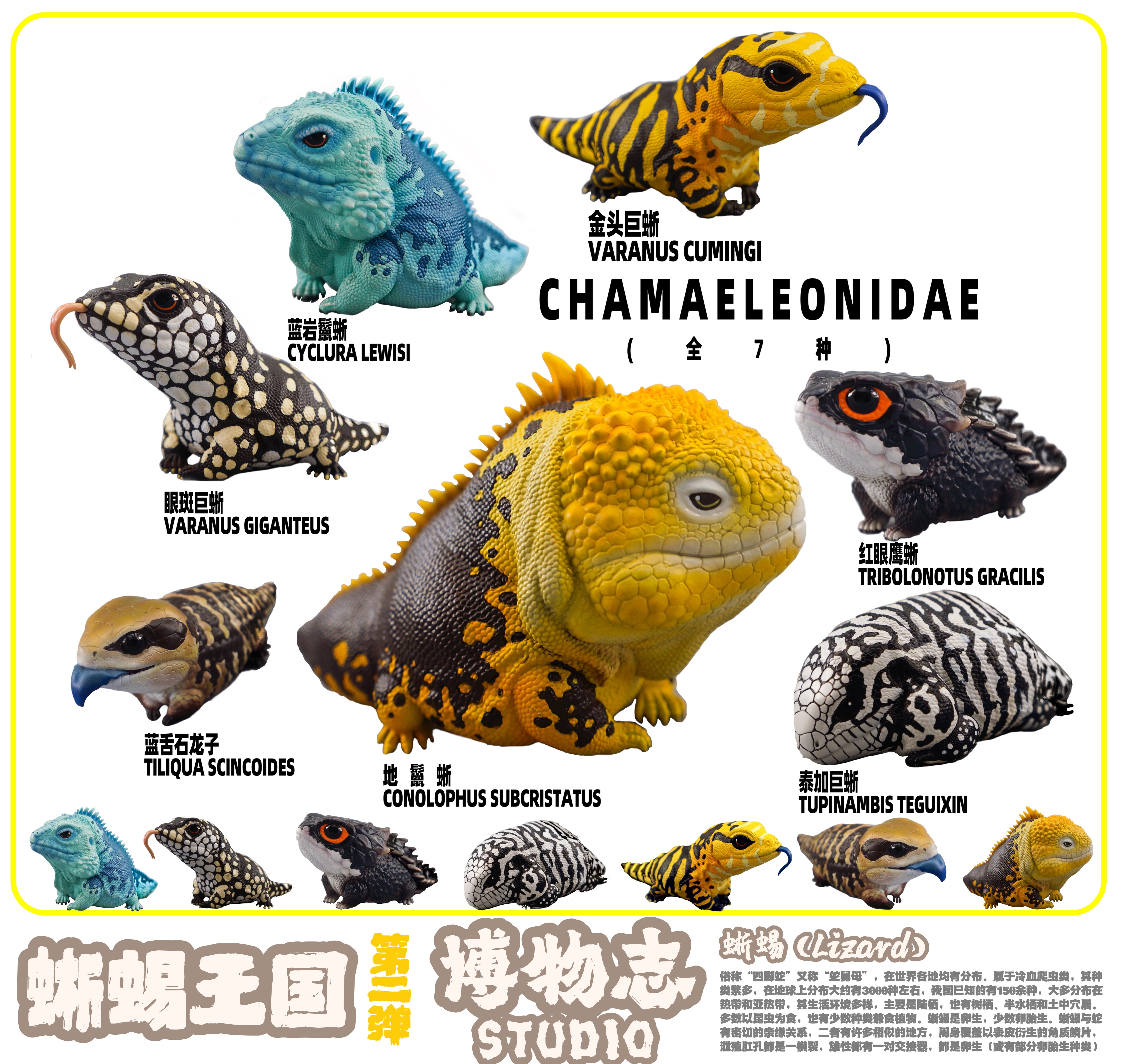 博物志工作室蜥蜴王国预售