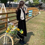 马甲+丝绒连衣裙女套装2D115-B92-P145-K198，女装连衣裙，2D115