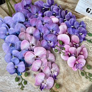 1688天津市武清区莫奈花语工艺品厂9头胶片蝴蝶兰仿真假花绢花婚