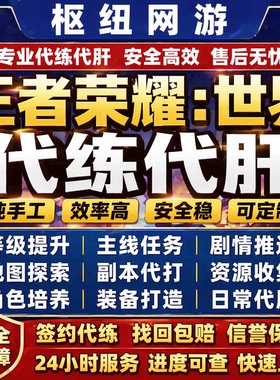 王者荣耀世界代打代练代肝PVP日常周常材料等级探索收集段位历练