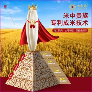 三主粮旗舰燕麦米内蒙古全胚芽煮粥新米破壁脱壳裸燕麦米免洗4袋