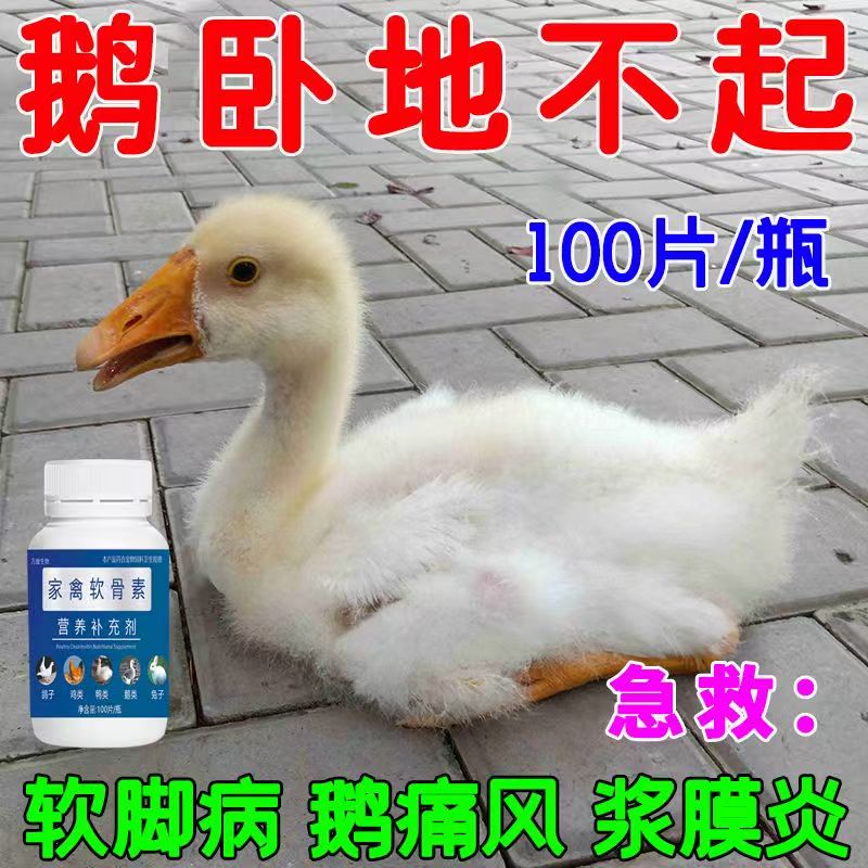 【治鸡鸭鹅病的特效药】