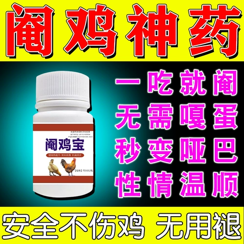 Не позволяйте членам играть [Специальное лекарство для фазанской курицы] не позволяйте куриным борьбу евнухах цыплят и цыплята стать многомерными тупыми