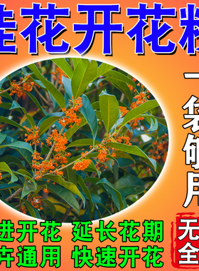 桂花树不开花专用快速开花粉植物花卉通用小包养花肥料促进开花果