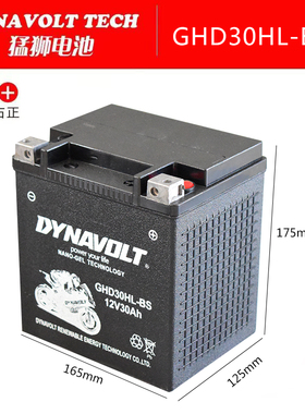 哈雷大滑翔电瓶路王庞巴迪260摩托艇春风沙滩车12v30猛狮胶体电池