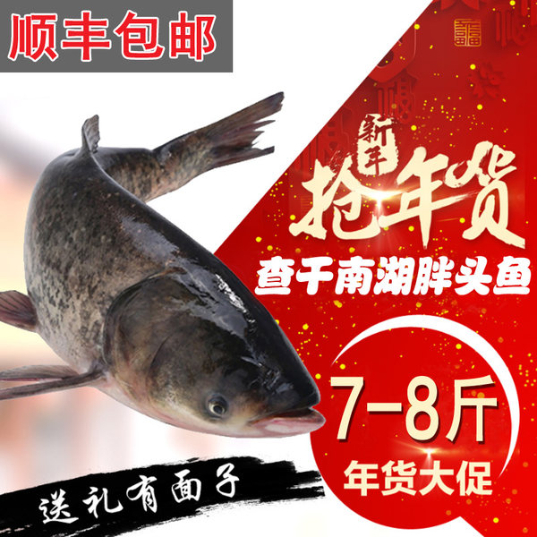 查干湖冬捕现发 稻和 野生查干南湖胖头鱼 7-8斤优惠券折后￥238顺丰包邮（￥268-30）