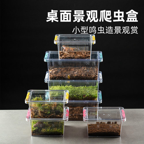 爬宠桌面爬宠亚克力饲养盒守宫蜥蜴角蛙蜘蛛居家饲养箱生态造景盒