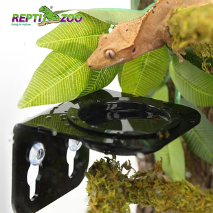 REPTIZOO爬虫睫角守宫食盆水盆蜥蜴食盆甲虫果冻台睫角守宫果泥盆