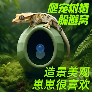 蛋仔躲避窝吸盘爬宠攀爬加湿窝睫角豹纹守宫姥爷树蛙造景装饰屋子