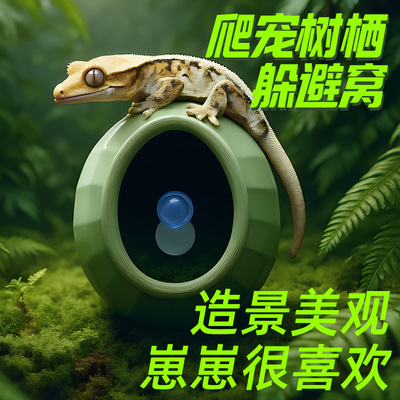 蛋仔躲避窝吸盘爬宠攀爬加湿窝睫角豹纹守宫姥爷树蛙造景装饰屋子