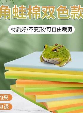 角蛙专用生化绵超舒适柔软细孔过滤棉角蛙垫材不磨脚彩色角蛙海绵