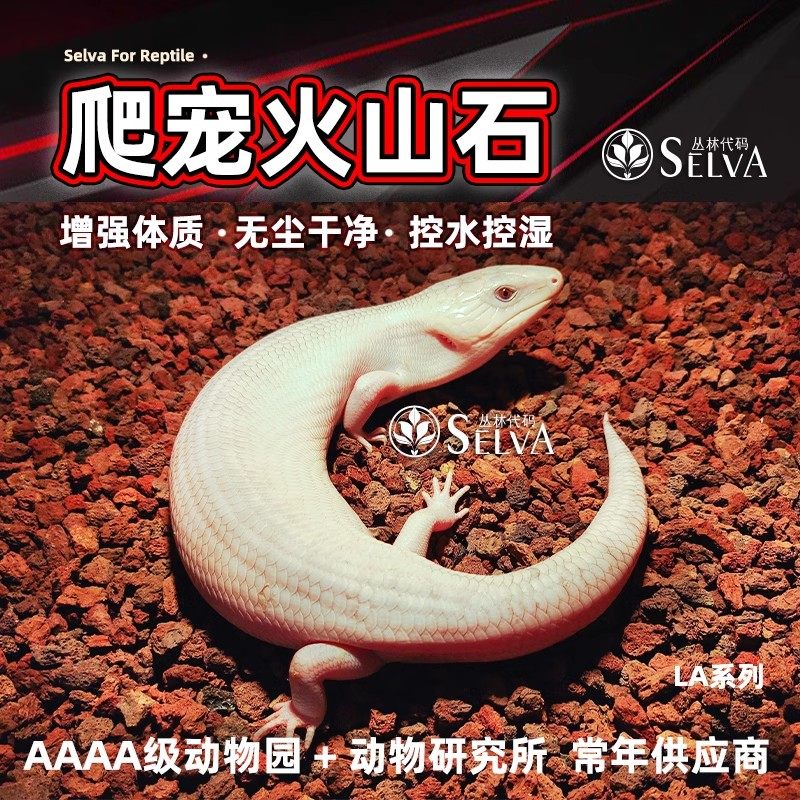 丛林代码爬宠垫材火山石轻石颗粒龟守宫宠物垫料荒漠造景无尘干净,宠物/宠物食品及用品,爬宠垫料,淘宝优惠券,粉丝福利购,淘宝优惠卷