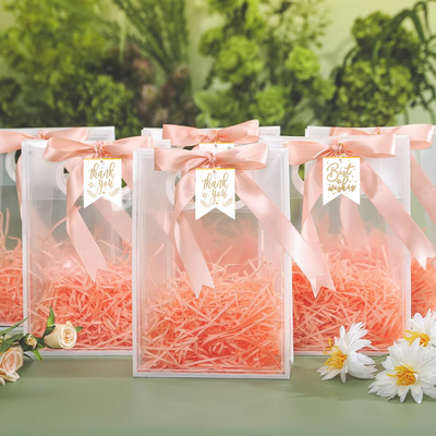 【10个装】批发价生日礼品袋