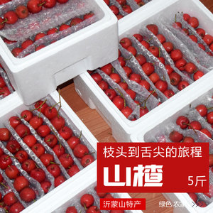 山楂果新鲜水果山东沂蒙山酸糯香冰糖葫芦山里红大金星五斤