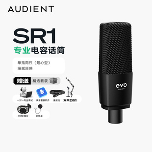 AUDIENT/奥顿特 SR1 专业大振膜电容麦克风K歌有声书录制配音话筒