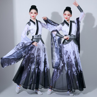 水墨古典舞演出服女飘逸中国风仙女广袖汉唐古装舞蹈服装成人