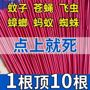 蝇香蚊香家用非无毒养殖场专用强力灭苍蝇官方旗舰店饭店野户外