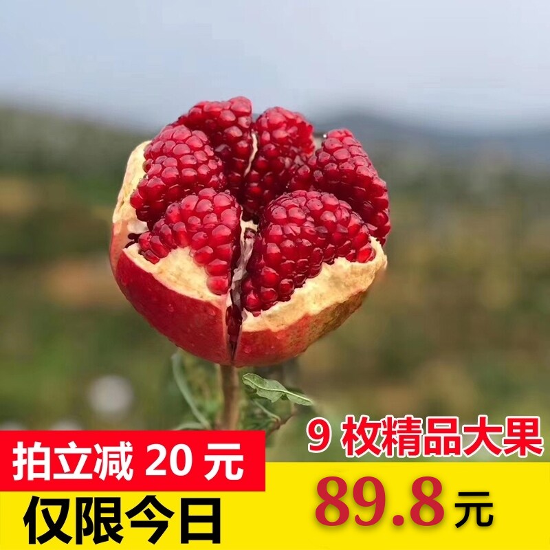 西安特产陕西临潼甜石榴9个大果新鲜孕妇水果现摘