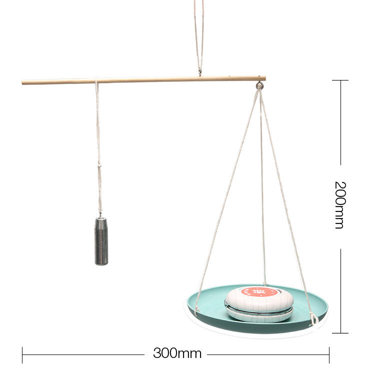diy科技小制作自制杆秤  幼儿园学生科学实验手工小发明科教玩具,商务/设计服务,玩具/玩偶设计,淘宝优惠券,粉丝福利购,淘宝优惠卷