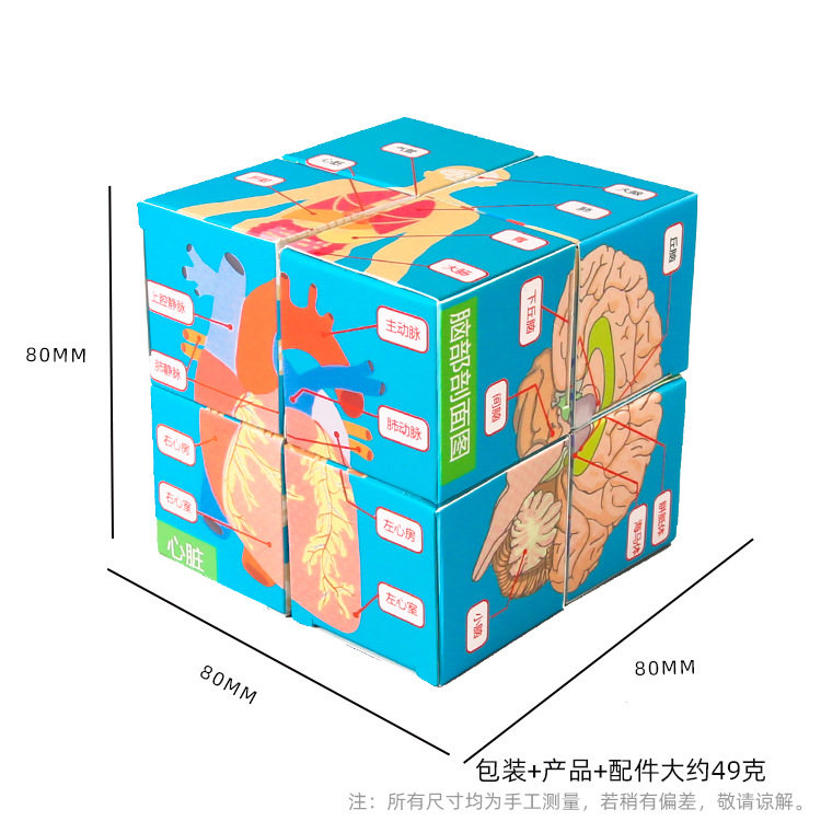 科学实验人体器官魔方盒子小学生科技小制作手工DIY益智steam教具,商务/设计服务,玩具/玩偶设计,淘宝优惠券,粉丝福利购,淘宝优惠卷