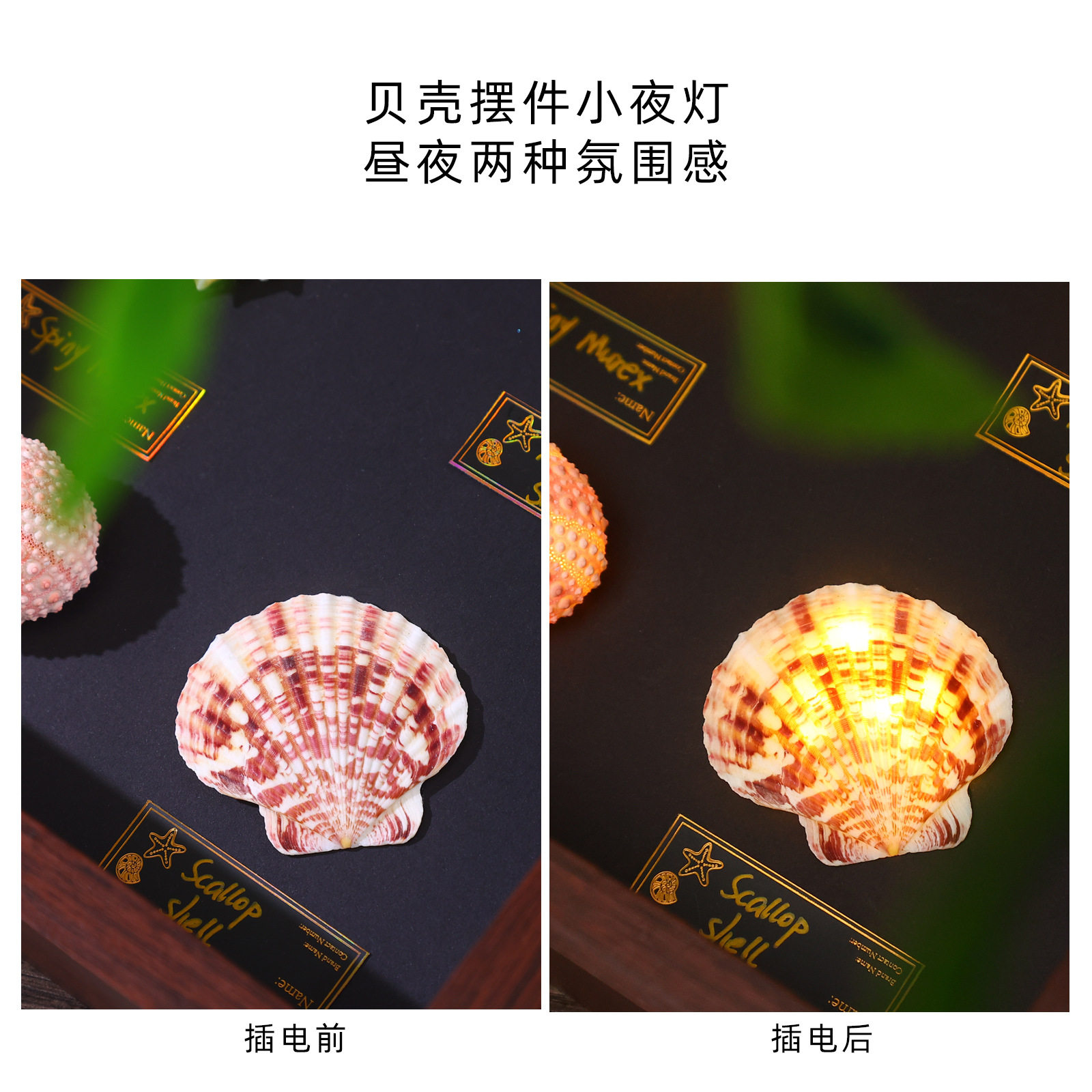 天然贝壳海螺灯创意手工diy发光小夜灯卧室桌面摆件情侣生日礼物