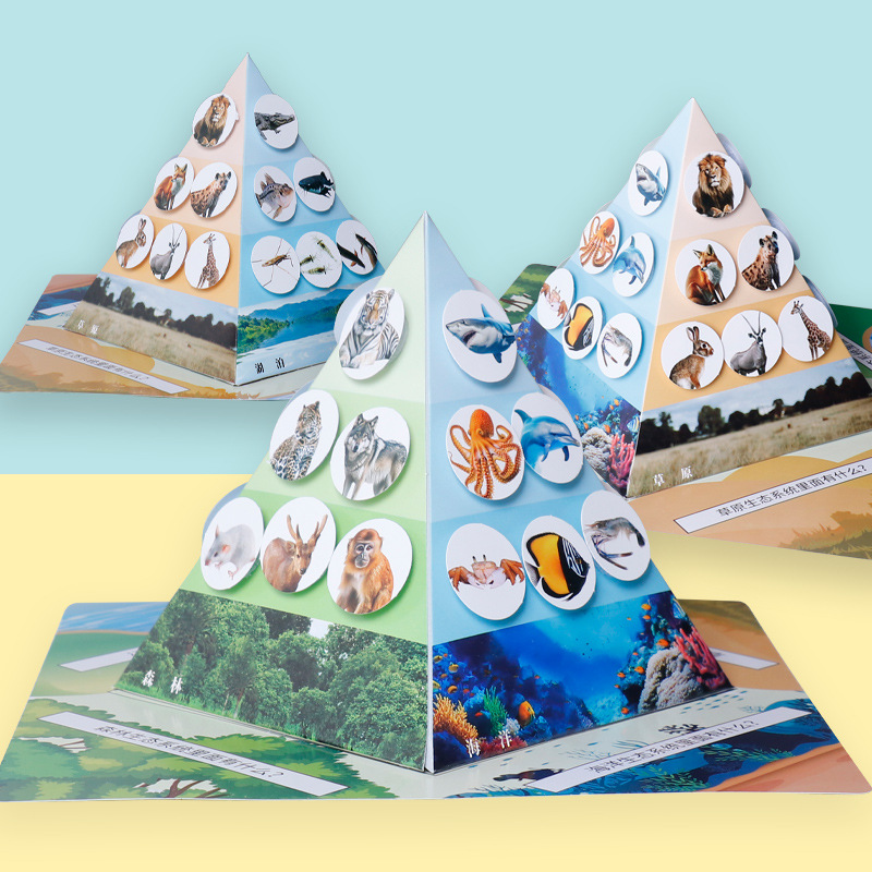 儿童玩具科学实验食物链