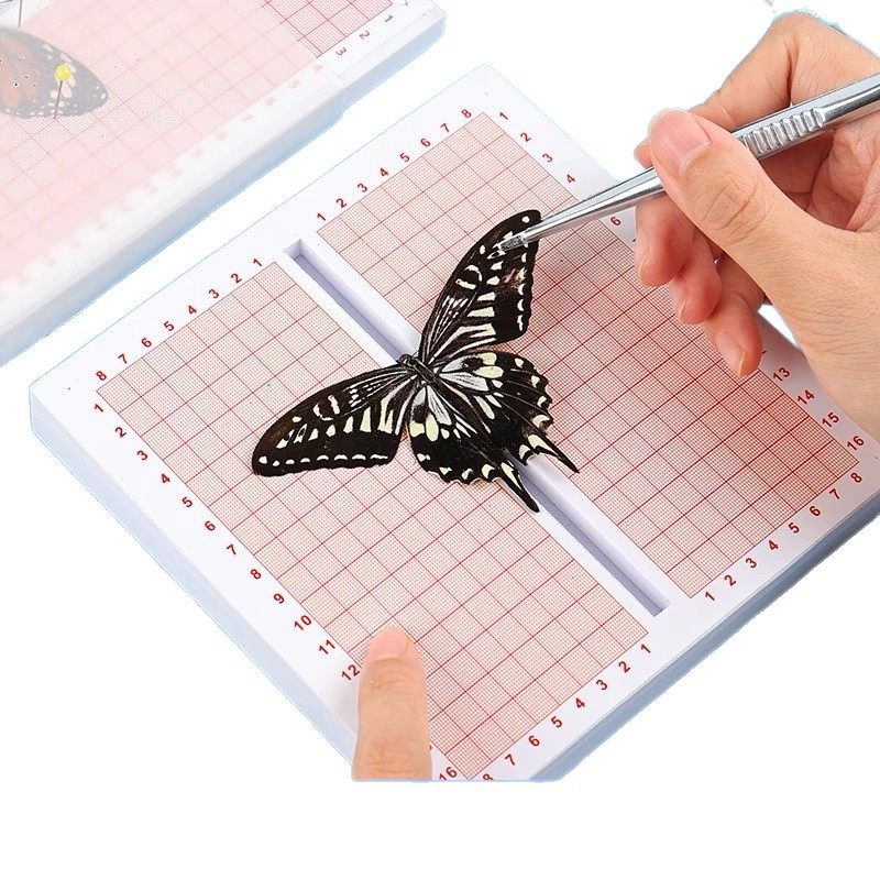 蝴蝶标本展翅板制作工具套装昆虫针手工diy材料包科学实验活动,文具电教/文化用品/商务用品,教学标本/模型,淘宝优惠券,粉丝福利购,淘宝优惠卷