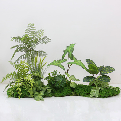 仿真绿植小型造景组合高端轻奢仿生植物假花隔断景观客厅落地摆件