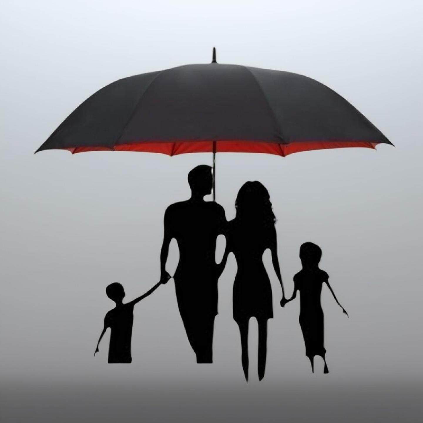 长柄雨伞超大号自动双层商务黑胶晴雨两用抗风伞通用家庭纯色男女