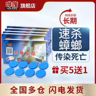 晔康杀蟑胶饵专业去除强效非无毒虫卵双杀婴儿厨房饭店家用蟑螂药