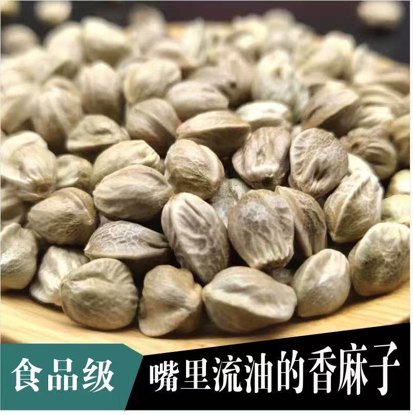 天水甘谷麻子大粒甘肃特产特大生麻子火麻籽人吃炒熟食用大颗粒