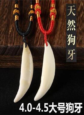 狗牙齿红绳婴儿护身符项